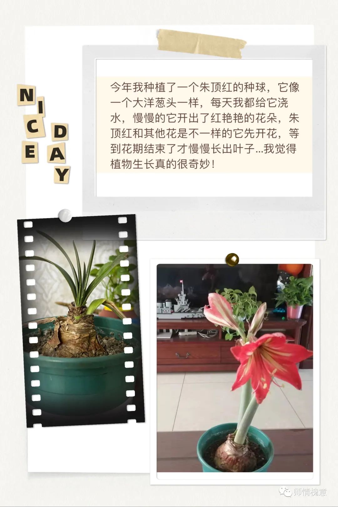 五育并举，百花齐放——山师保利实验学校小学部综合组开展线上学科竞赛活动