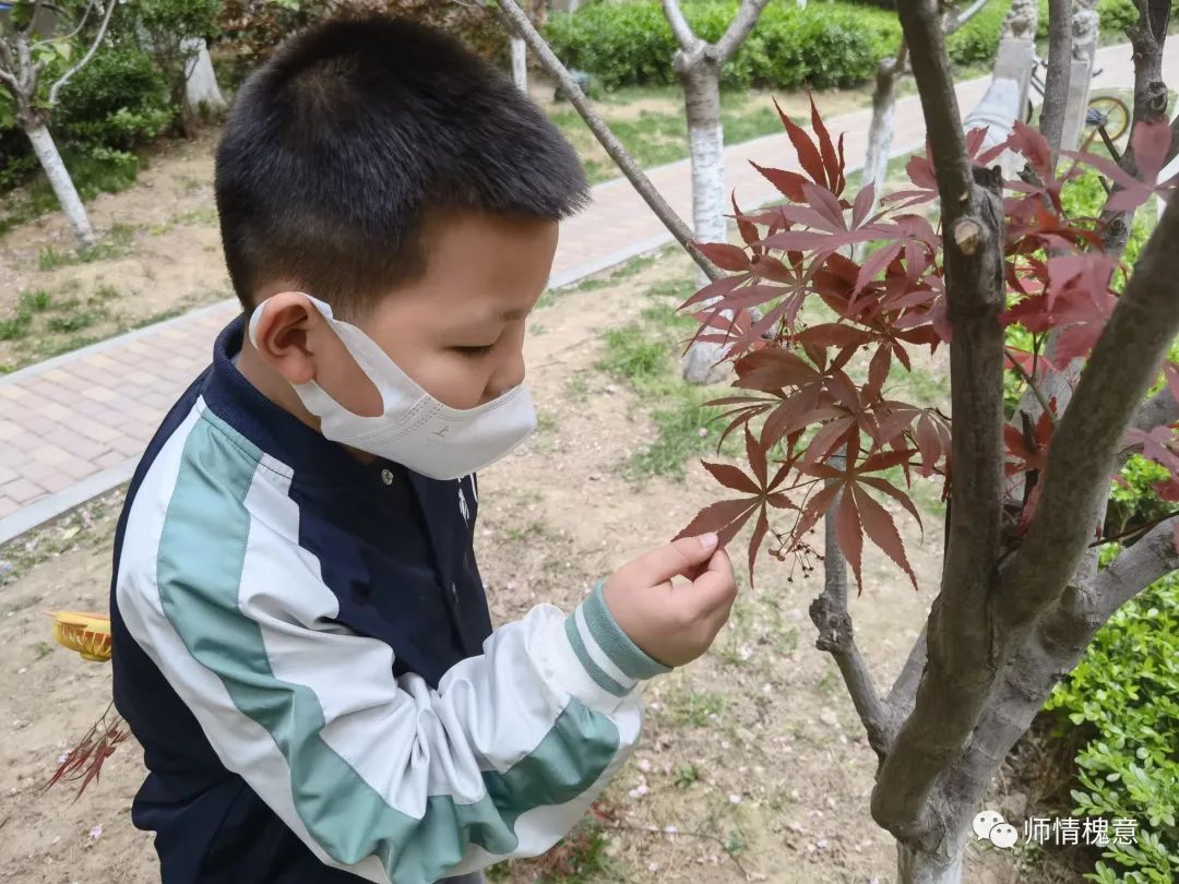 五育并举，百花齐放——山师保利实验学校小学部综合组开展线上学科竞赛活动