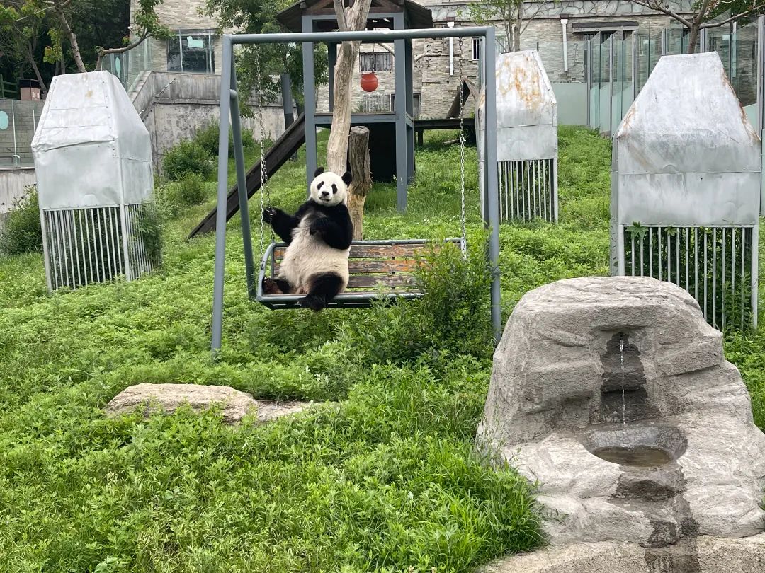 海岛旅游正当时——春归后的威海刘公岛精彩依旧、不改初“新”