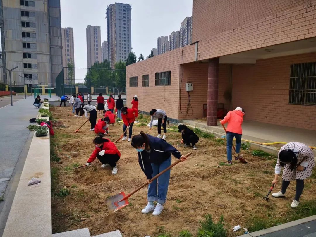 耕耘不辍，共待桃李满园——山师东海实验学校小学部全体教师一起参加农场护理活动