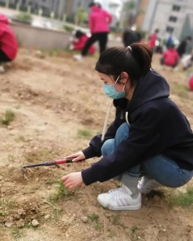 耕耘不辍，共待桃李满园——山师东海实验学校小学部全体教师一起参加农场护理活动