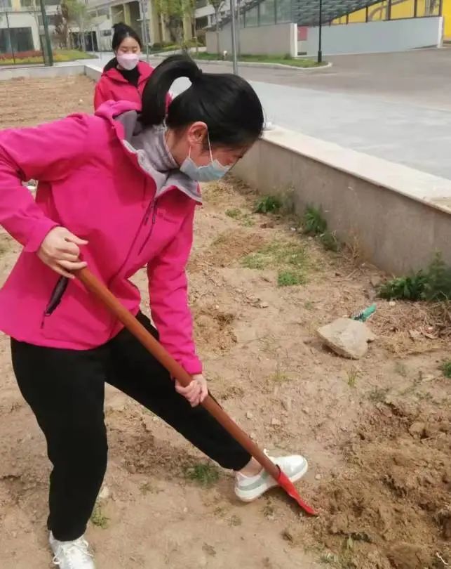 耕耘不辍，共待桃李满园——山师东海实验学校小学部全体教师一起参加农场护理活动