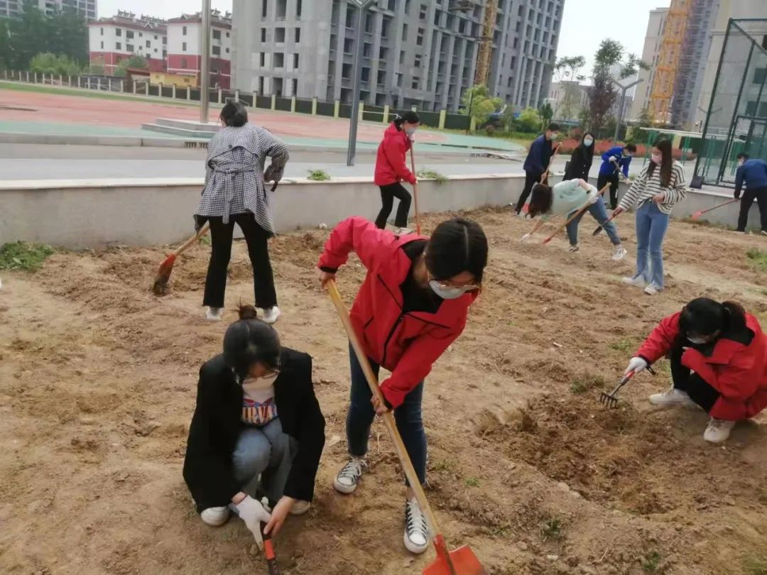 耕耘不辍，共待桃李满园——山师东海实验学校小学部全体教师一起参加农场护理活动