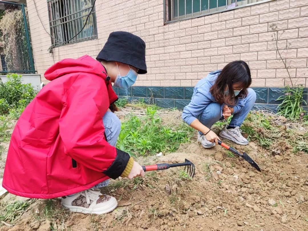 耕耘不辍，共待桃李满园——山师东海实验学校小学部全体教师一起参加农场护理活动