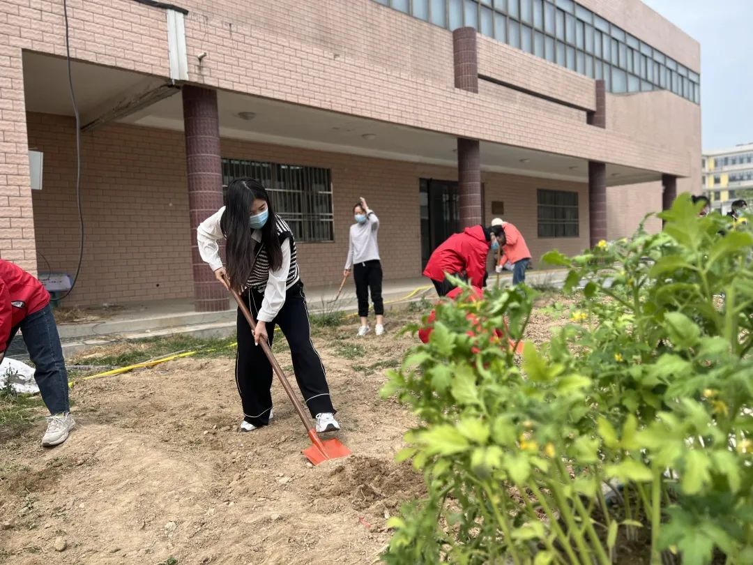 耕耘不辍，共待桃李满园——山师东海实验学校小学部全体教师一起参加农场护理活动