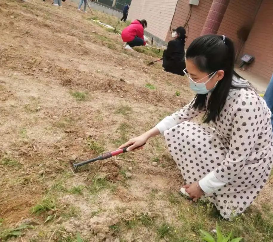 耕耘不辍，共待桃李满园——山师东海实验学校小学部全体教师一起参加农场护理活动