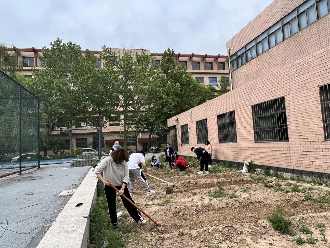 耕耘不辍，共待桃李满园——山师东海实验学校小学部全体教师一起参加农场护理活动