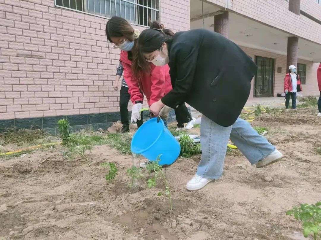 耕耘不辍，共待桃李满园——山师东海实验学校小学部全体教师一起参加农场护理活动