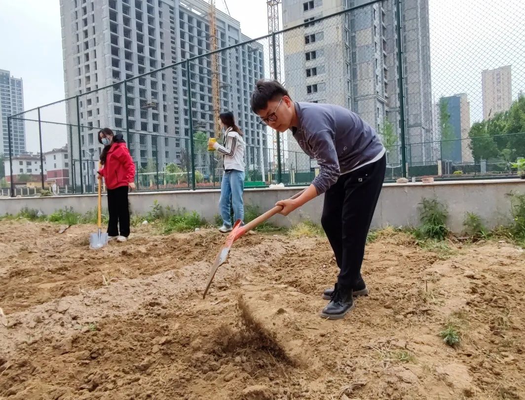 耕耘不辍，共待桃李满园——山师东海实验学校小学部全体教师一起参加农场护理活动