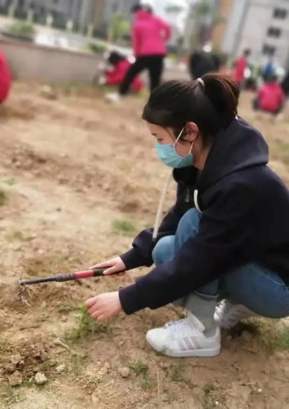 耕耘不辍，共待桃李满园——山师东海实验学校小学部全体教师一起参加农场护理活动