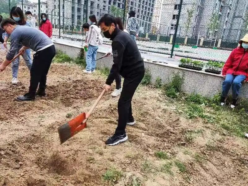 耕耘不辍，共待桃李满园——山师东海实验学校小学部全体教师一起参加农场护理活动