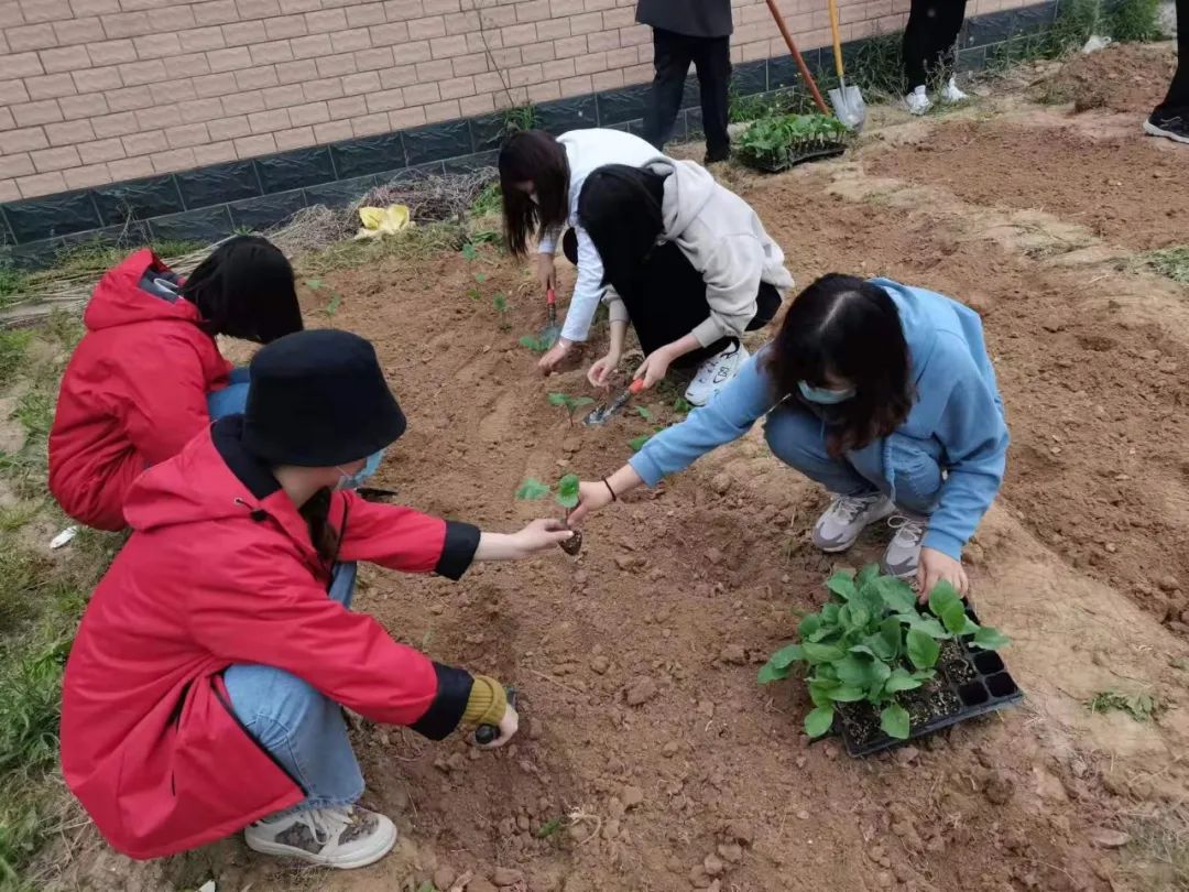 耕耘不辍，共待桃李满园——山师东海实验学校小学部全体教师一起参加农场护理活动