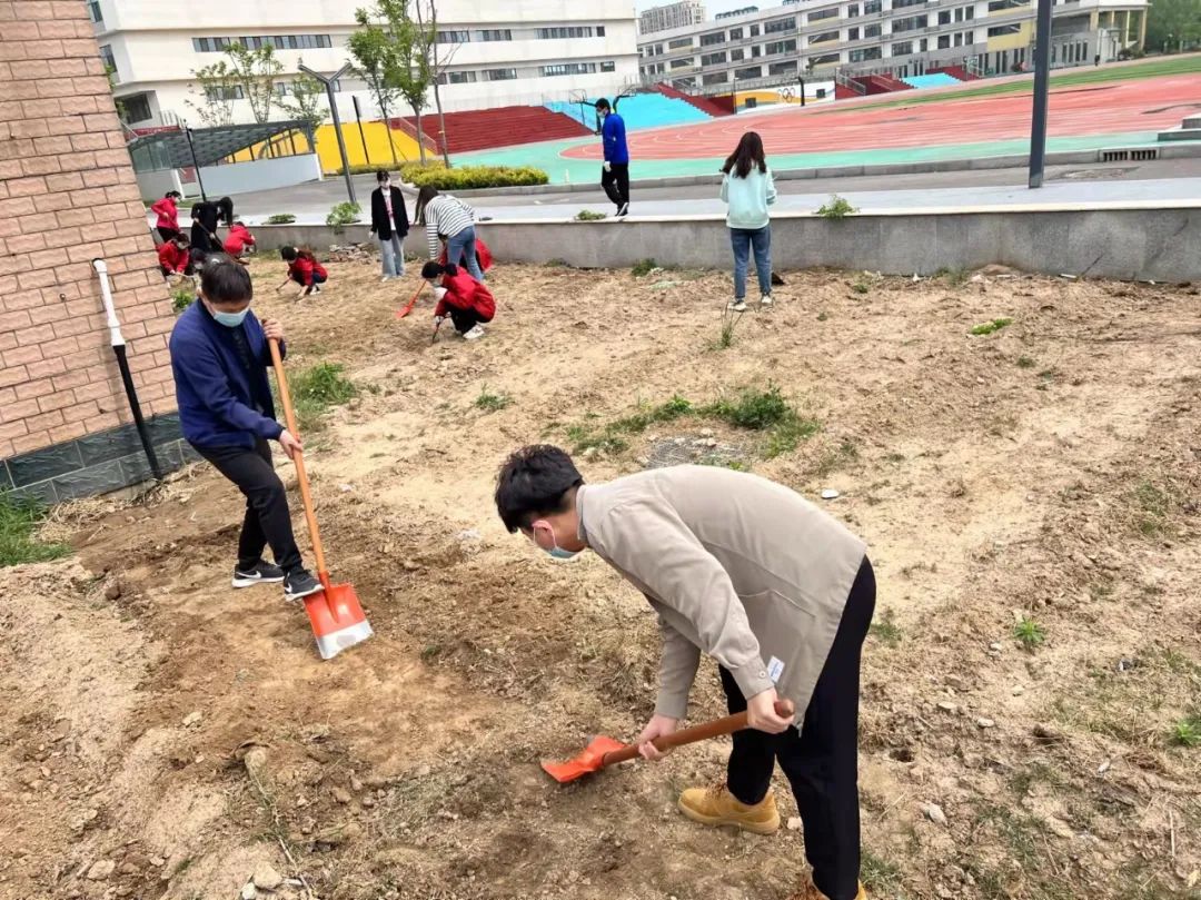 耕耘不辍，共待桃李满园——山师东海实验学校小学部全体教师一起参加农场护理活动