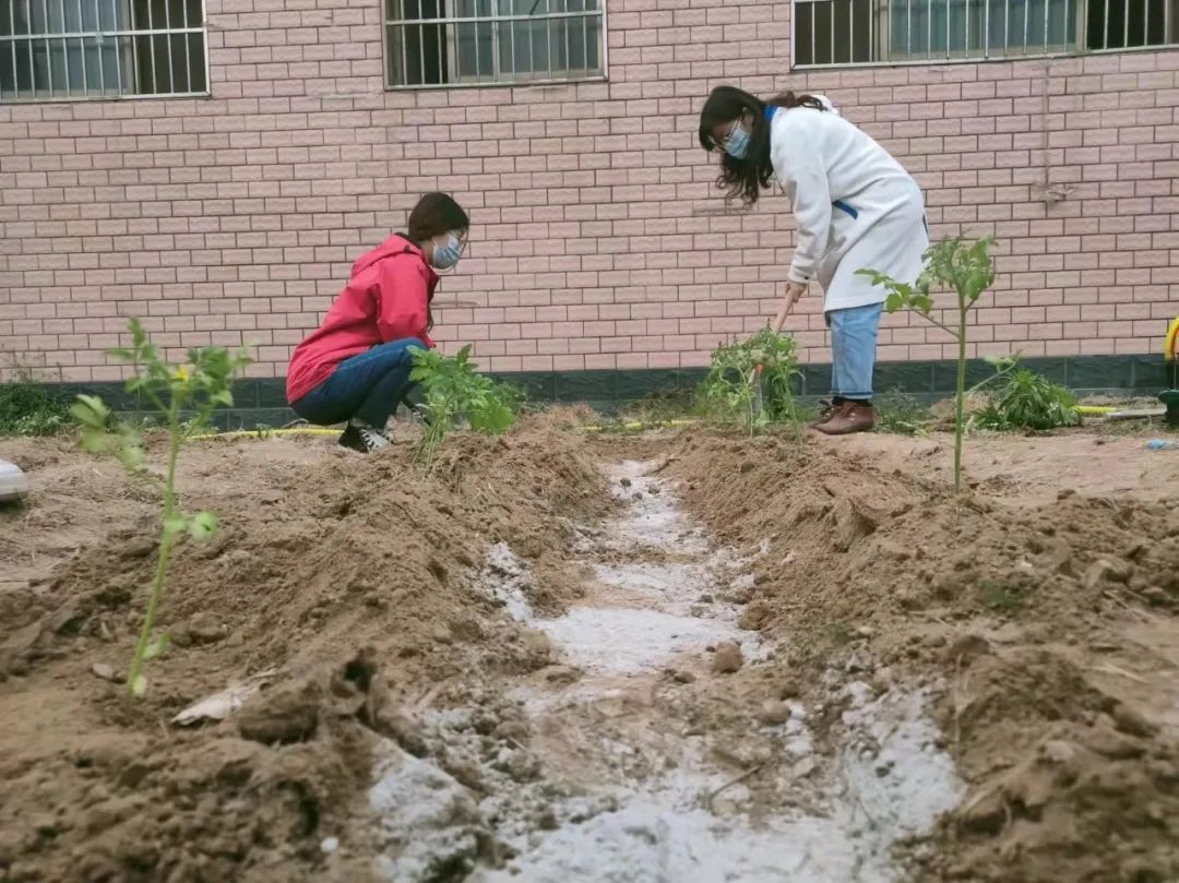 耕耘不辍，共待桃李满园——山师东海实验学校小学部全体教师一起参加农场护理活动