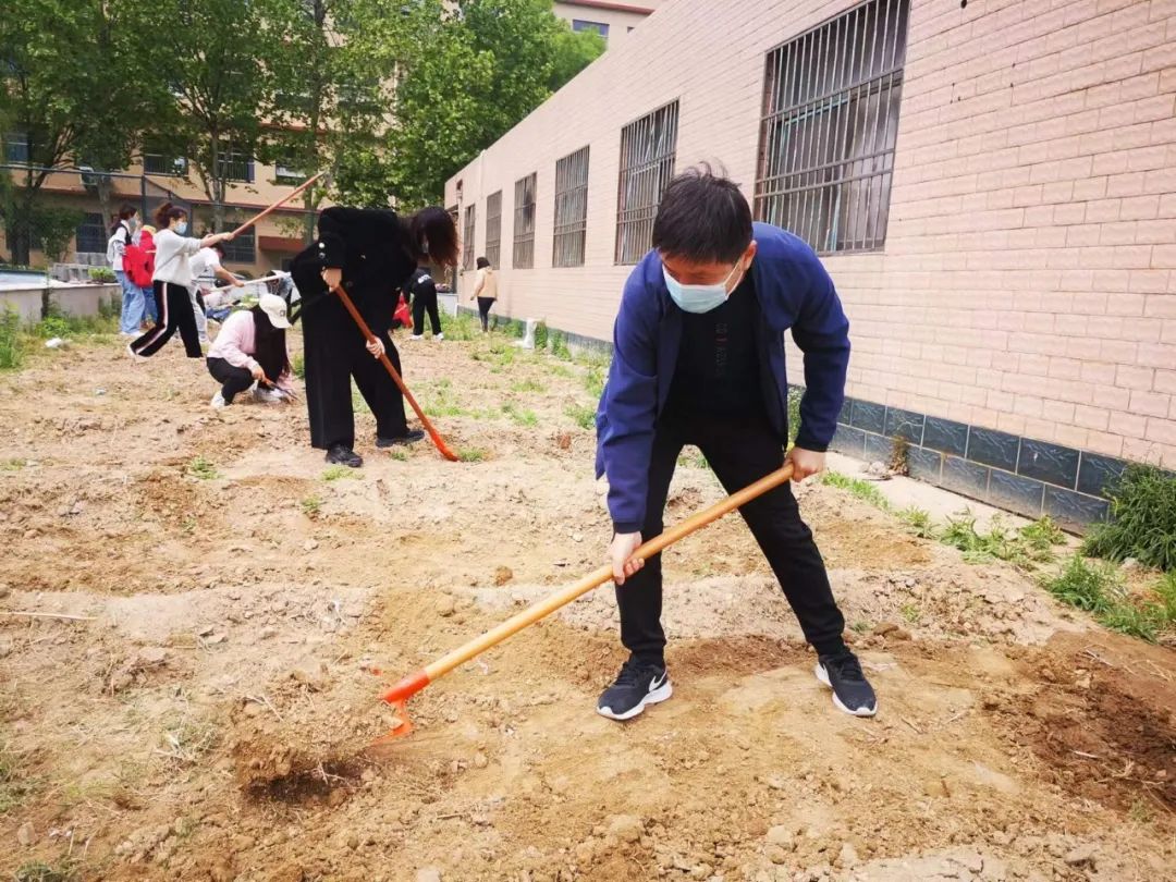 耕耘不辍，共待桃李满园——山师东海实验学校小学部全体教师一起参加农场护理活动