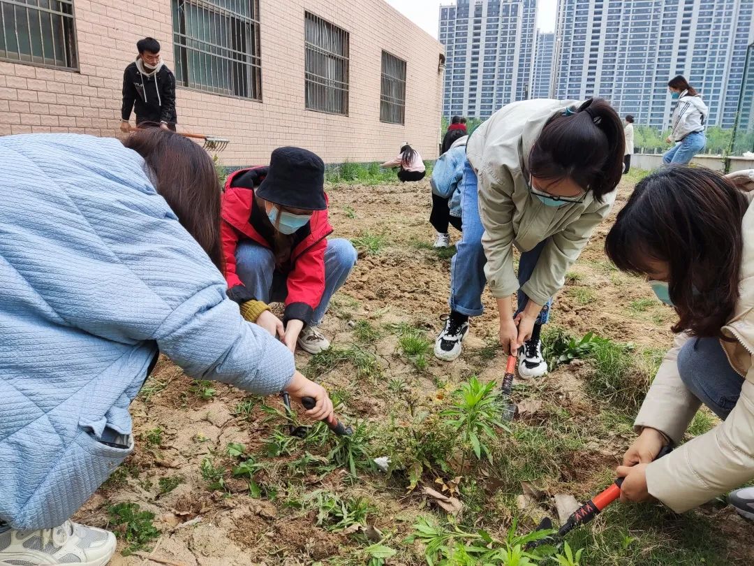 耕耘不辍，共待桃李满园——山师东海实验学校小学部全体教师一起参加农场护理活动