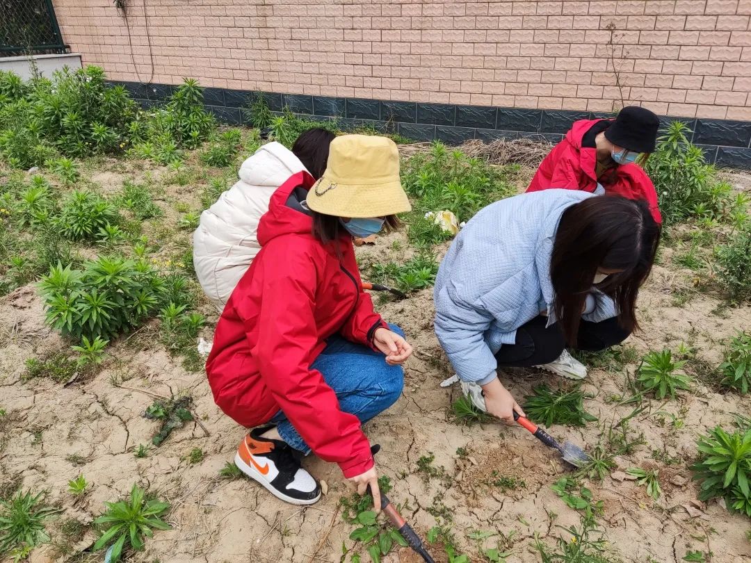 耕耘不辍，共待桃李满园——山师东海实验学校小学部全体教师一起参加农场护理活动