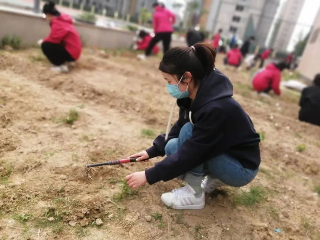 耕耘不辍，共待桃李满园——山师东海实验学校小学部全体教师一起参加农场护理活动