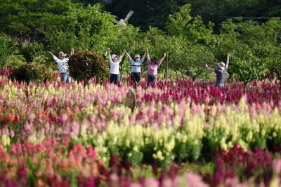 文旅部：“五一”小长假国内游出游1.6亿人次，同比减少30.2％