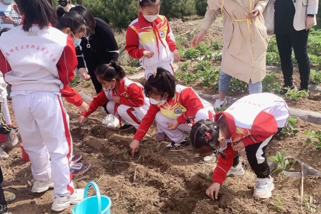 培养学生劳动意识，青岛即墨区山师实验学校开展系列劳动实践活动