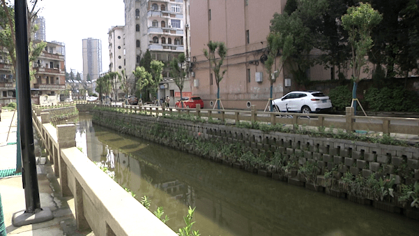 因违规排放污水，中建筑港集团被青岛城管局处罚