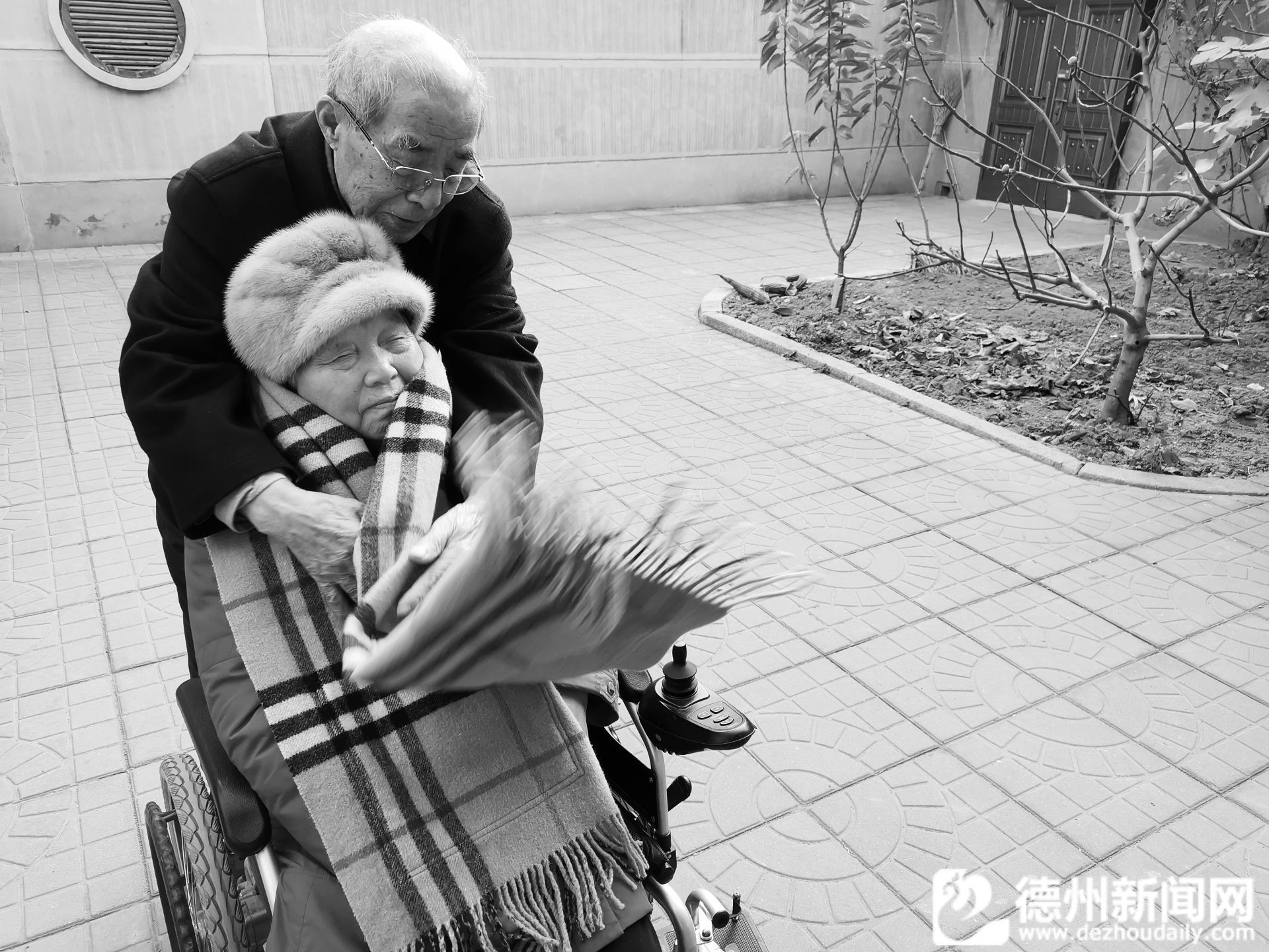 80岁也是“山”，“80后”父亲用2010天诠释“父母爱情”