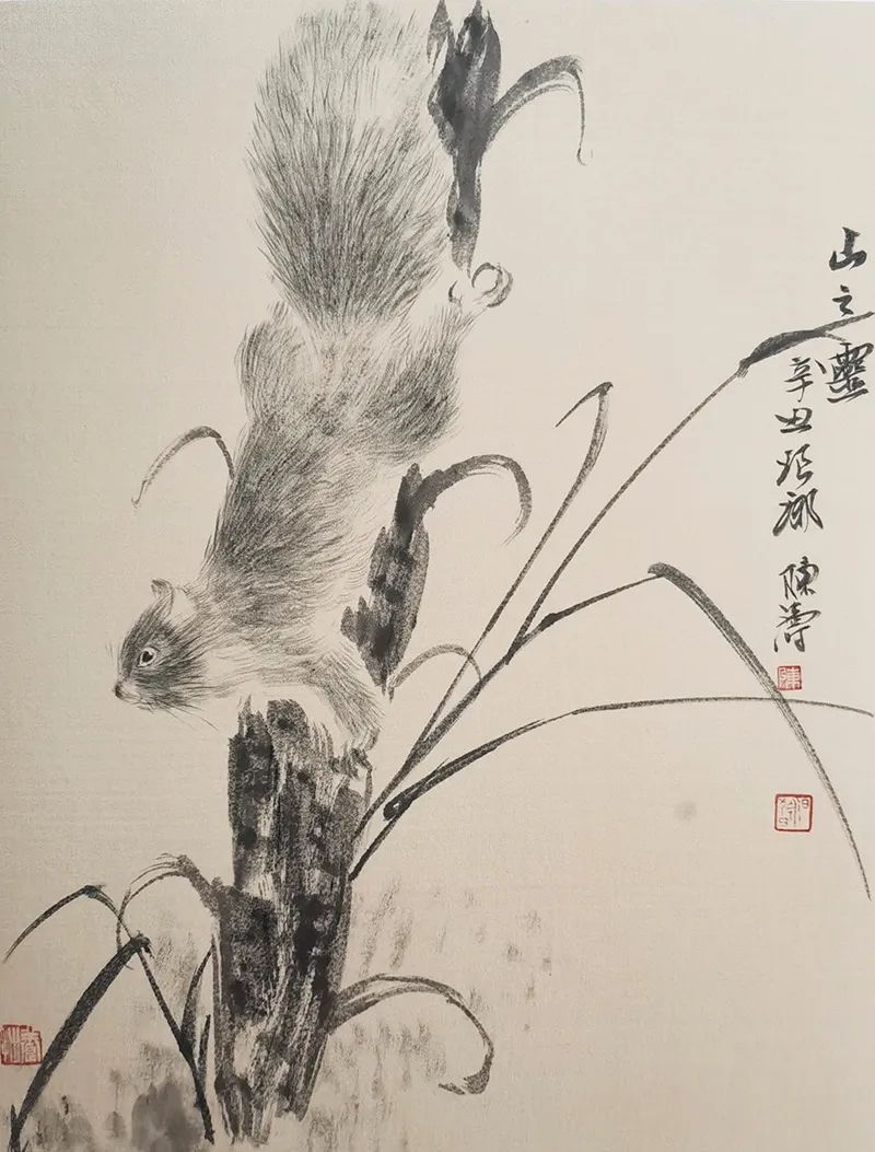 时代·生活·温度——青年画家陈涛谈花鸟画的传承与出新