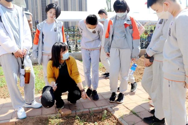 一草一木总关情，私立济南齐鲁学校七年级开展“爱的教育”PBL课程复学活动