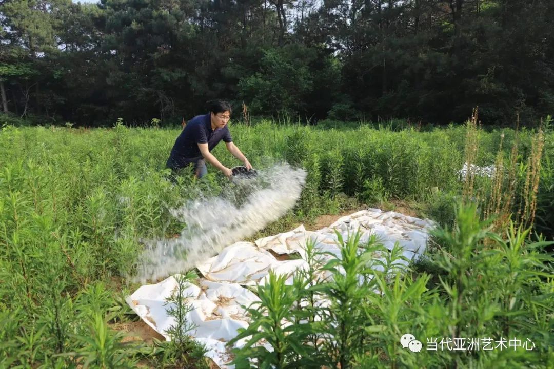 与二十四节气的温暖相遇，著名艺术家赵无眠时空泼墨计划之小满记事