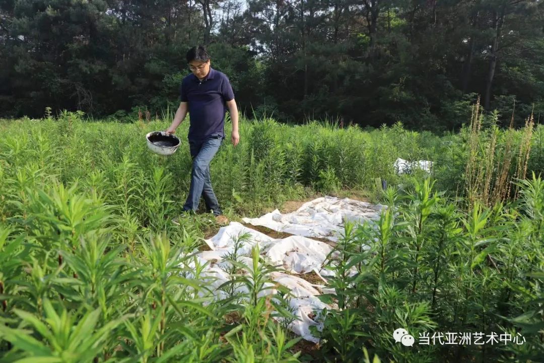 与二十四节气的温暖相遇，著名艺术家赵无眠时空泼墨计划之小满记事