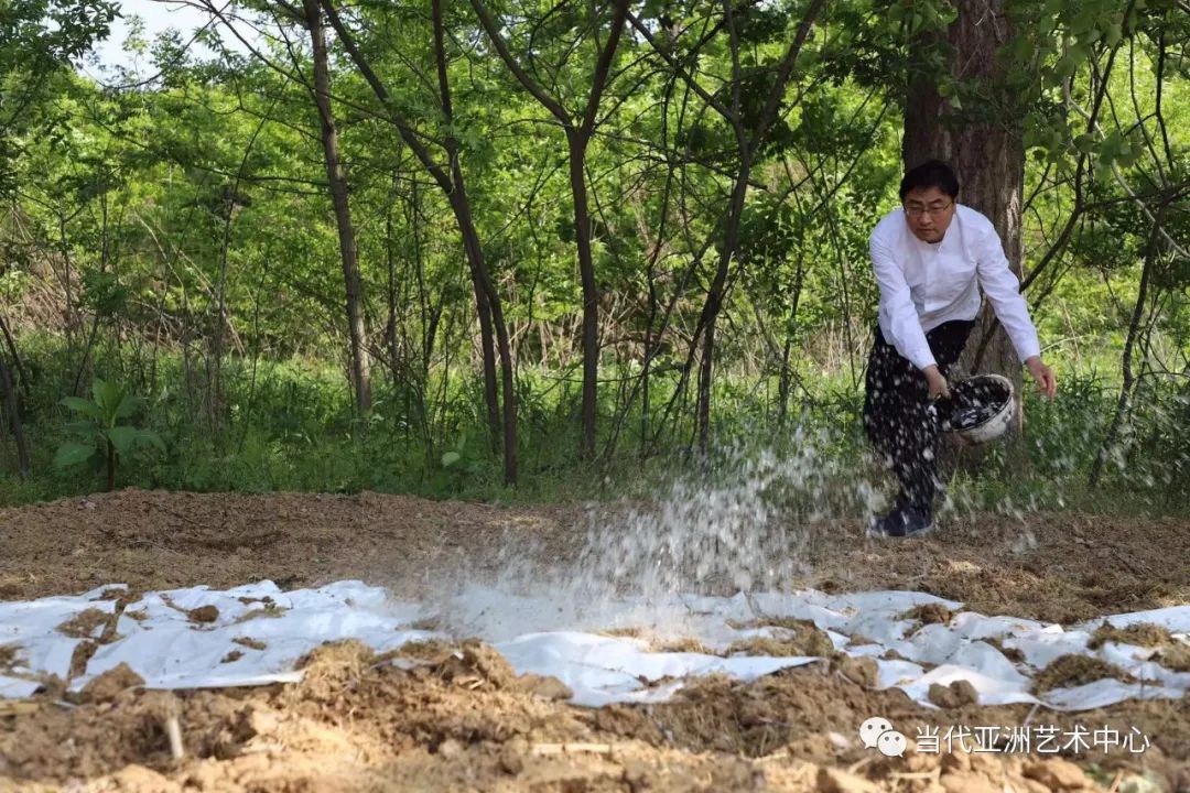 与二十四节气的温暖相遇，著名艺术家赵无眠时空泼墨计划之小满记事