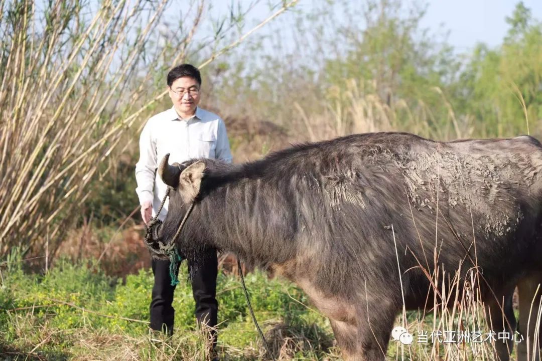 与二十四节气的温暖相遇，著名艺术家赵无眠时空泼墨计划之小满记事