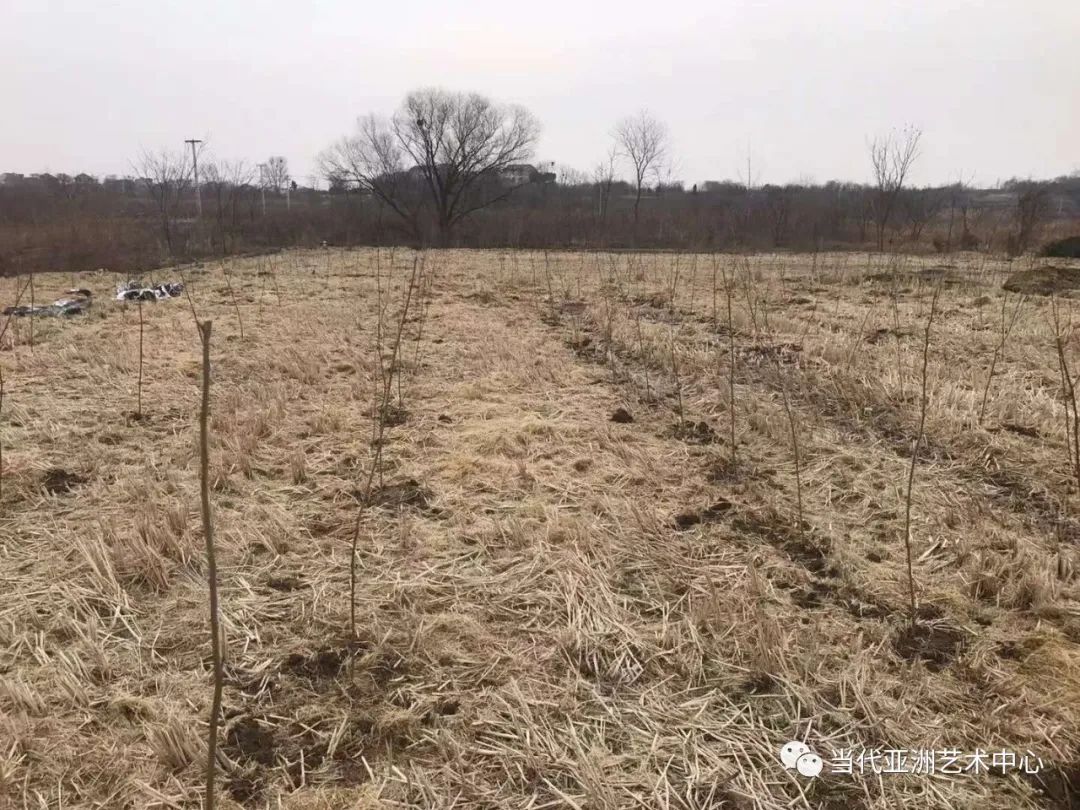 与二十四节气的温暖相遇，著名艺术家赵无眠时空泼墨计划之小满记事