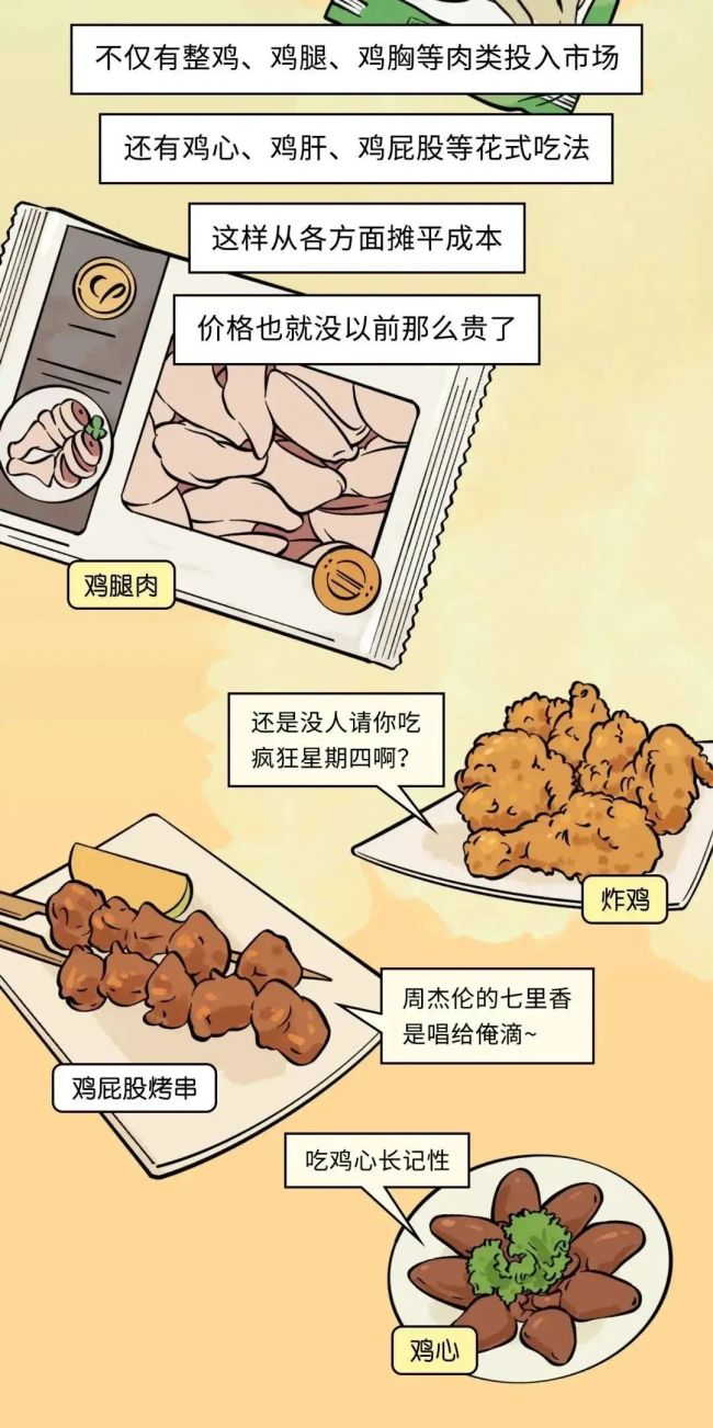 速生鸡不是激素鸡，九联食品带你分辨白羽鸡与黄羽鸡