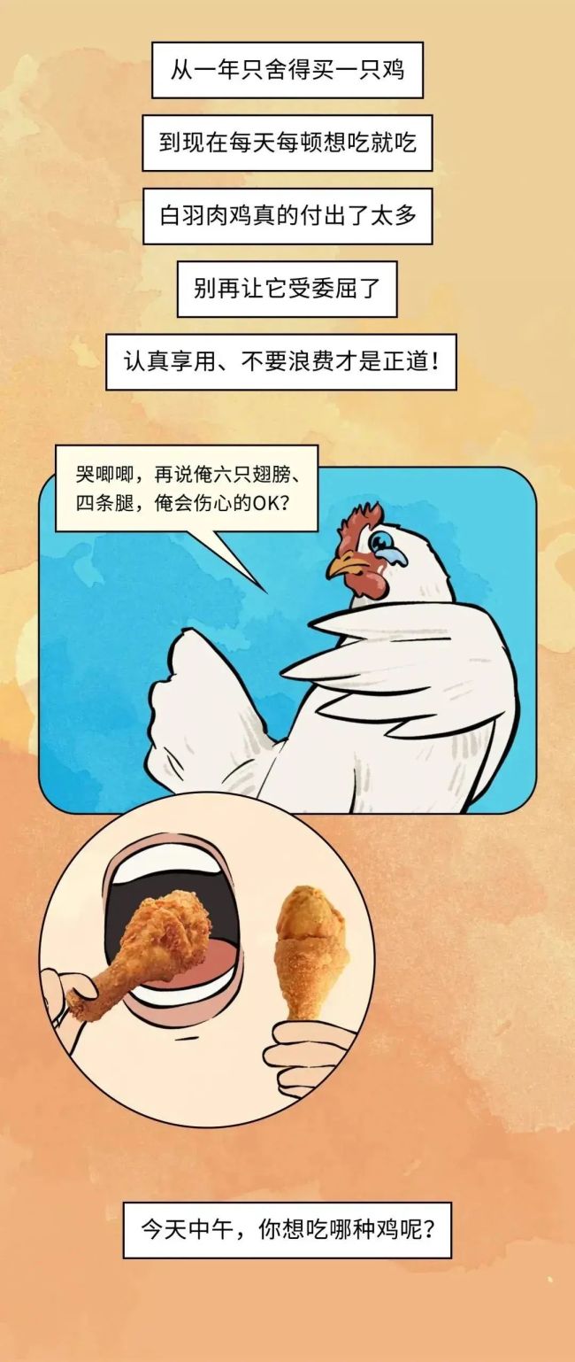 速生鸡不是激素鸡，九联食品带你分辨白羽鸡与黄羽鸡
