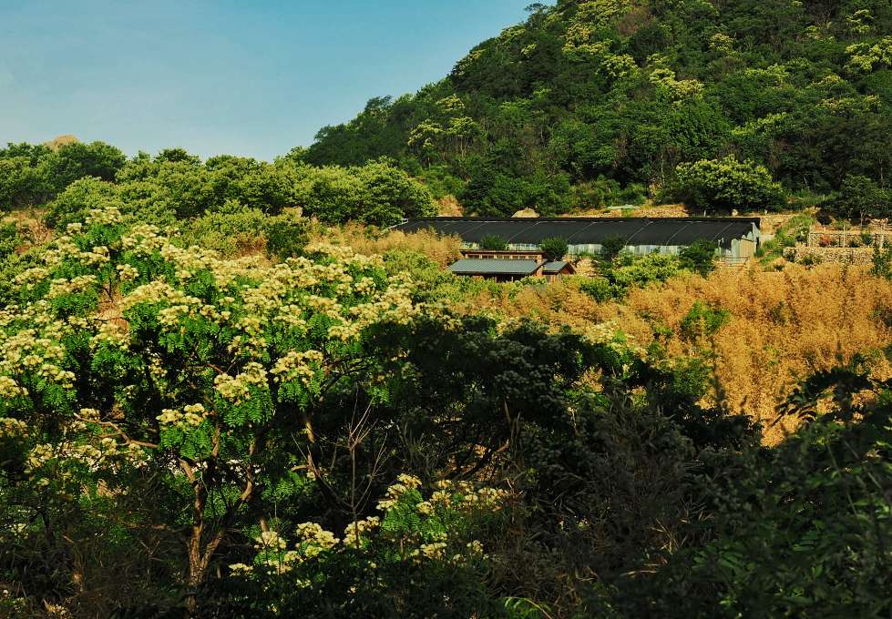 打卡临沂费县梅岭民宿，走进向往的生活