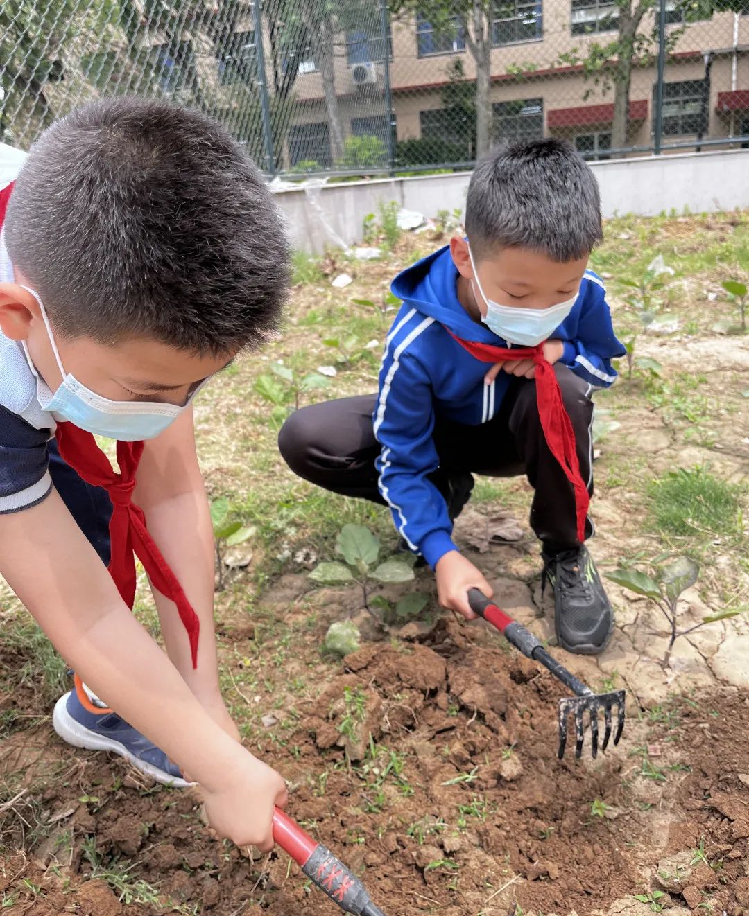 开心农场新体验，活力校园促成长——山师东海实验学校组织农场体验活动