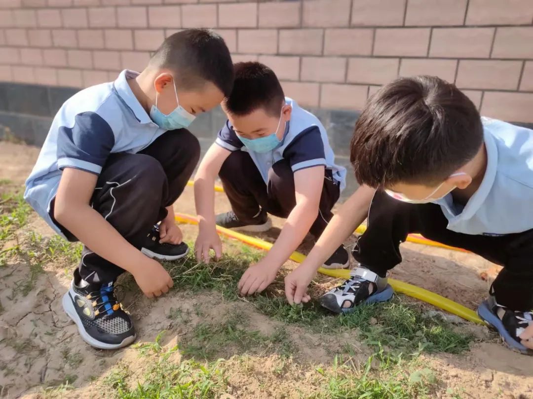 开心农场新体验，活力校园促成长——山师东海实验学校组织农场体验活动