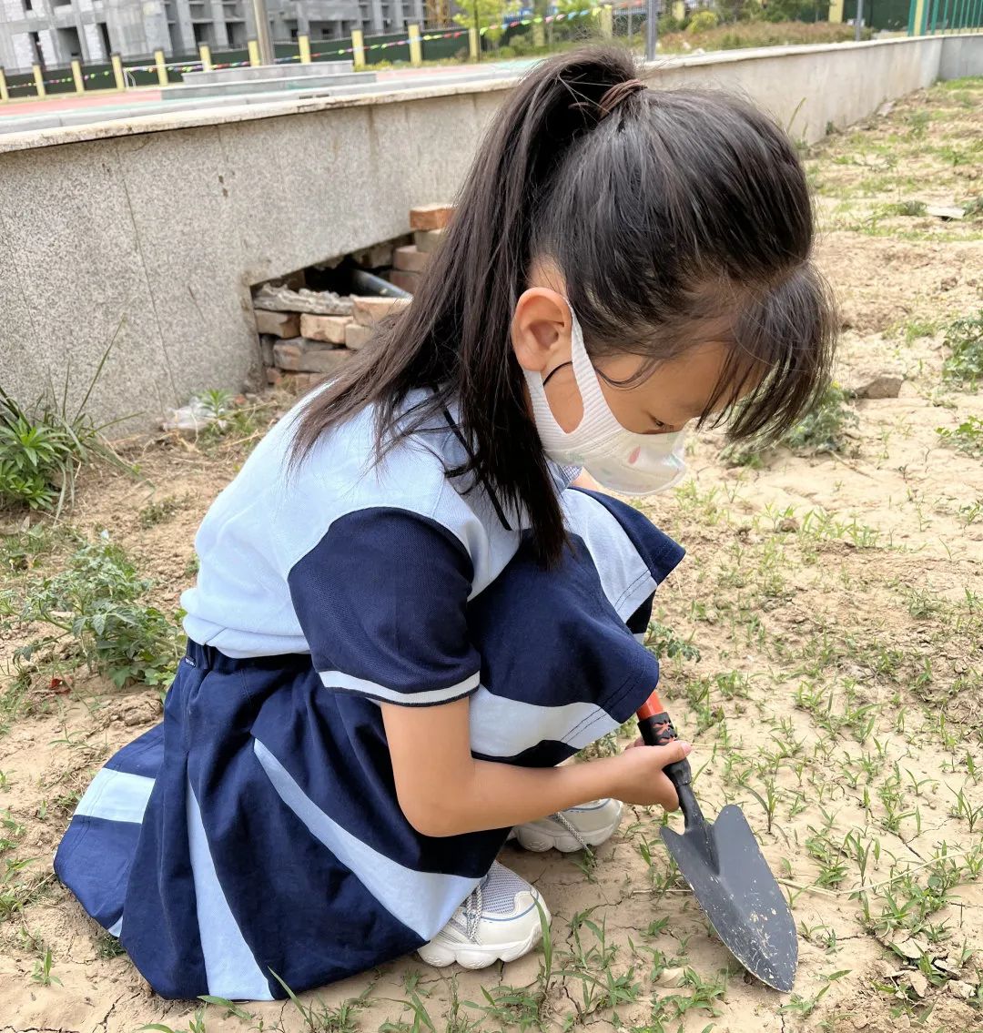 开心农场新体验，活力校园促成长——山师东海实验学校组织农场体验活动