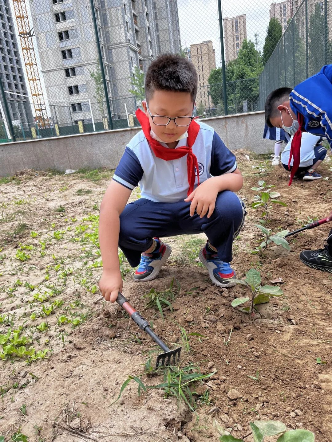 开心农场新体验，活力校园促成长——山师东海实验学校组织农场体验活动