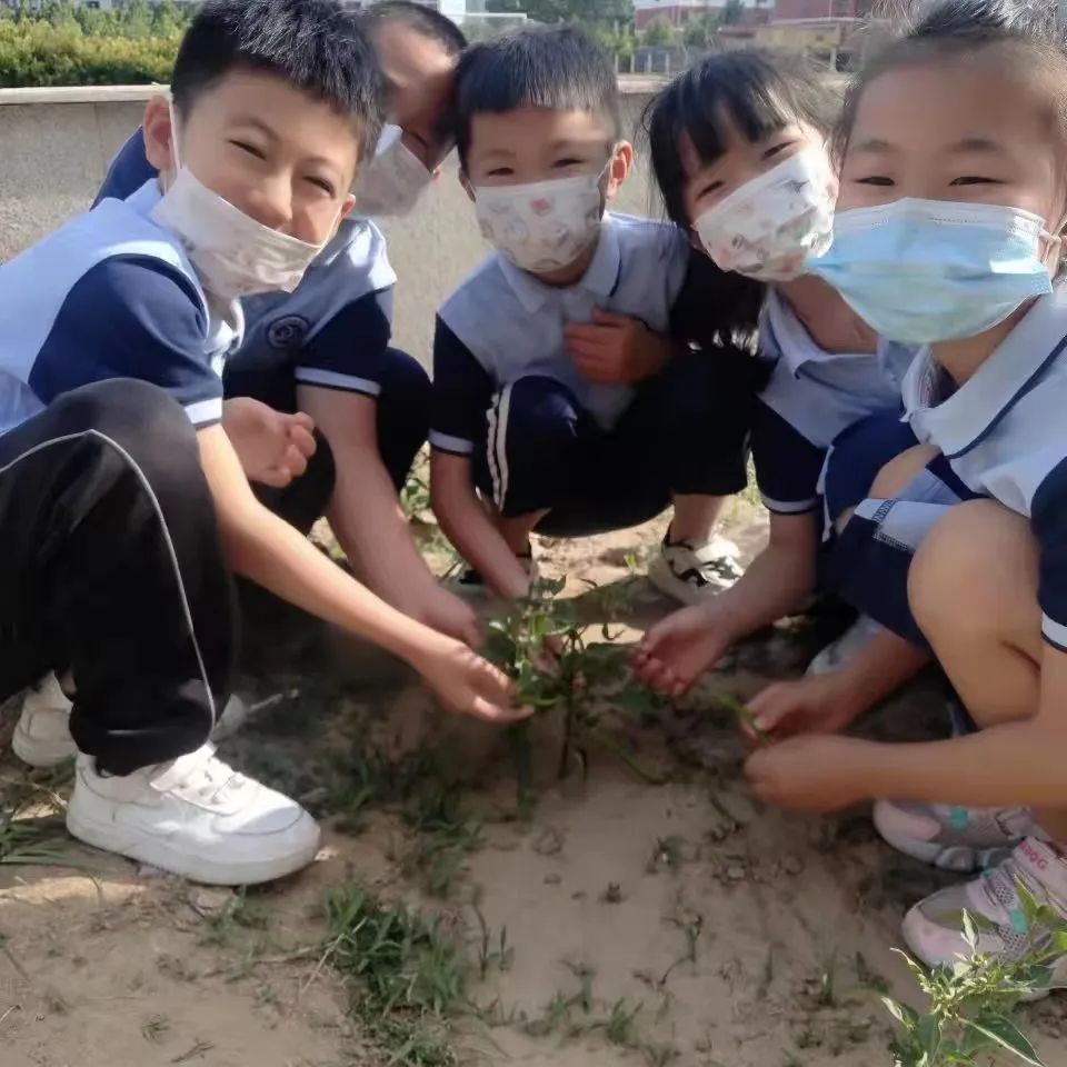 开心农场新体验，活力校园促成长——山师东海实验学校组织农场体验活动