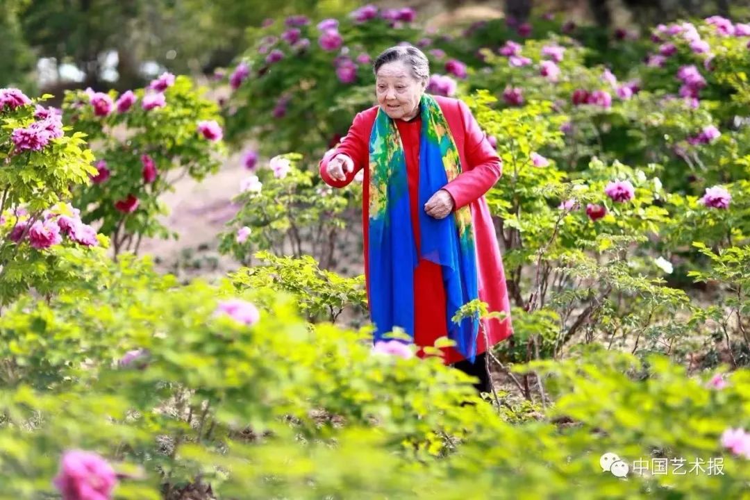 豫剧五大名旦之一马金凤在青岛病逝，享年100岁