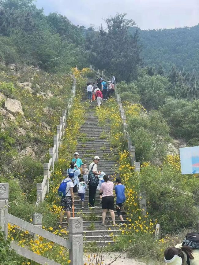 嘉华火热发团，省内新线路德州夏津采桑之旅即将成行