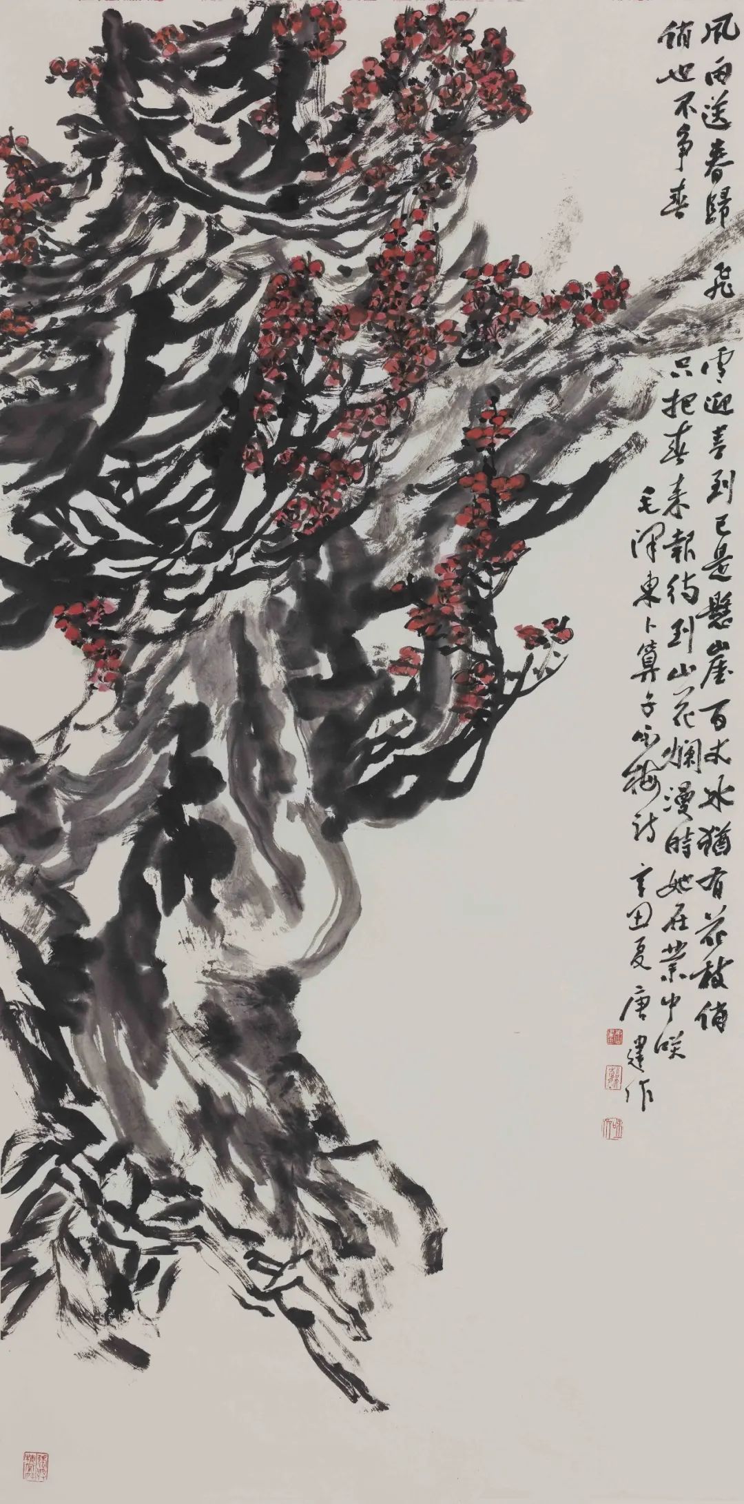 “唐梅”与疫情的诗意邂逅——著名画家唐建寻梅、赏梅、画梅、护梅之路