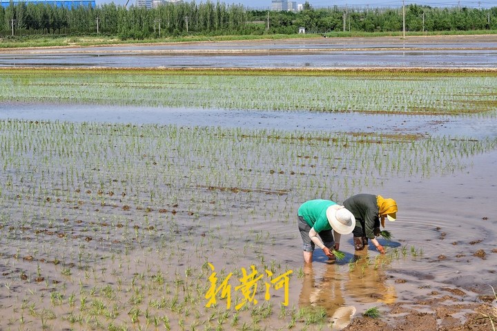 抓住省党代会报告中的“济南机遇”，在山东强省建设中“有责、有能、有为”