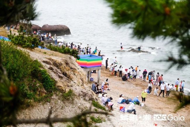 第十七届红岛蛤蜊节完美收官，青岛城阳增添文旅“新爆点”