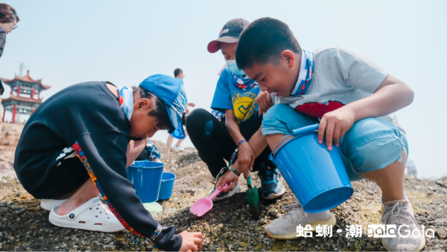 第十七届红岛蛤蜊节完美收官，青岛城阳增添文旅“新爆点”