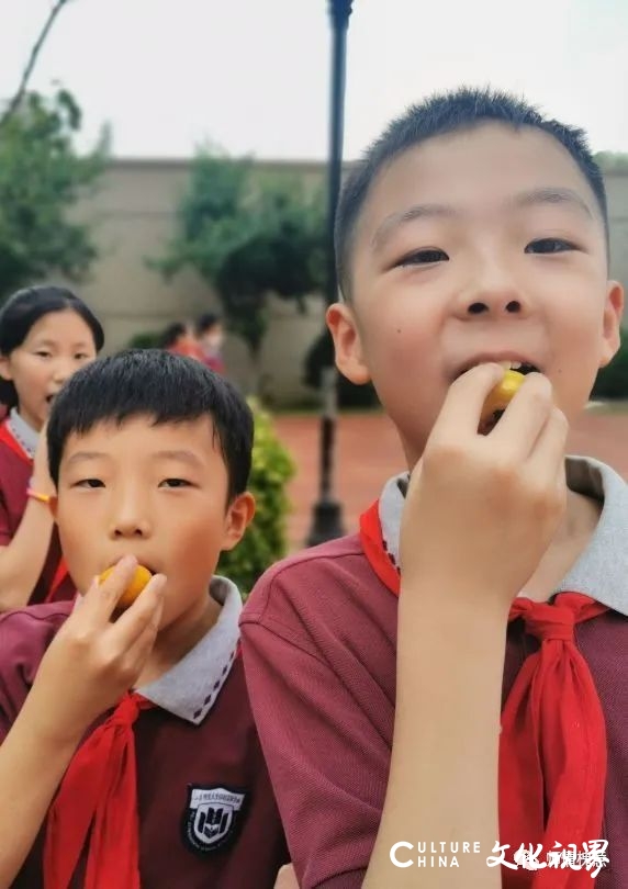 六月的小确“杏”，济南市槐荫区实验学校幸福公社开展快乐采摘节活动