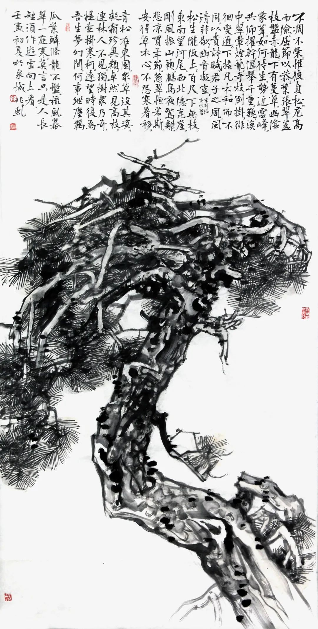 千秋高格赋古松，著名画家李兆虬笔墨绘就“苍松赞歌”