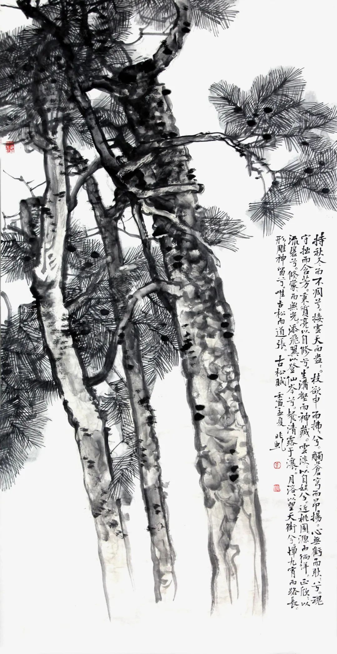 千秋高格赋古松，著名画家李兆虬笔墨绘就“苍松赞歌”